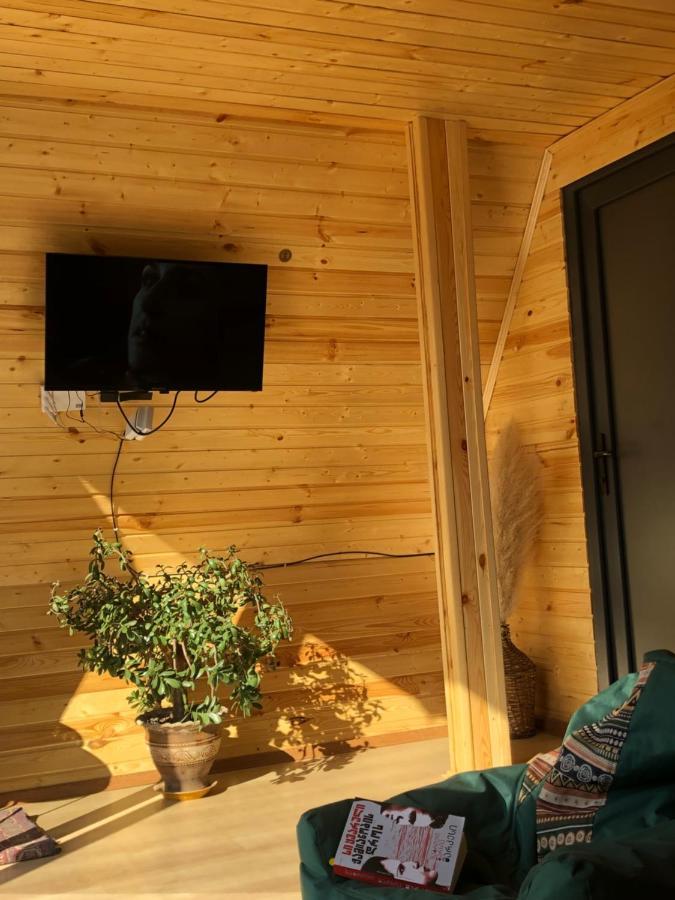 Alagi Cottage Kazbegi Exterior photo