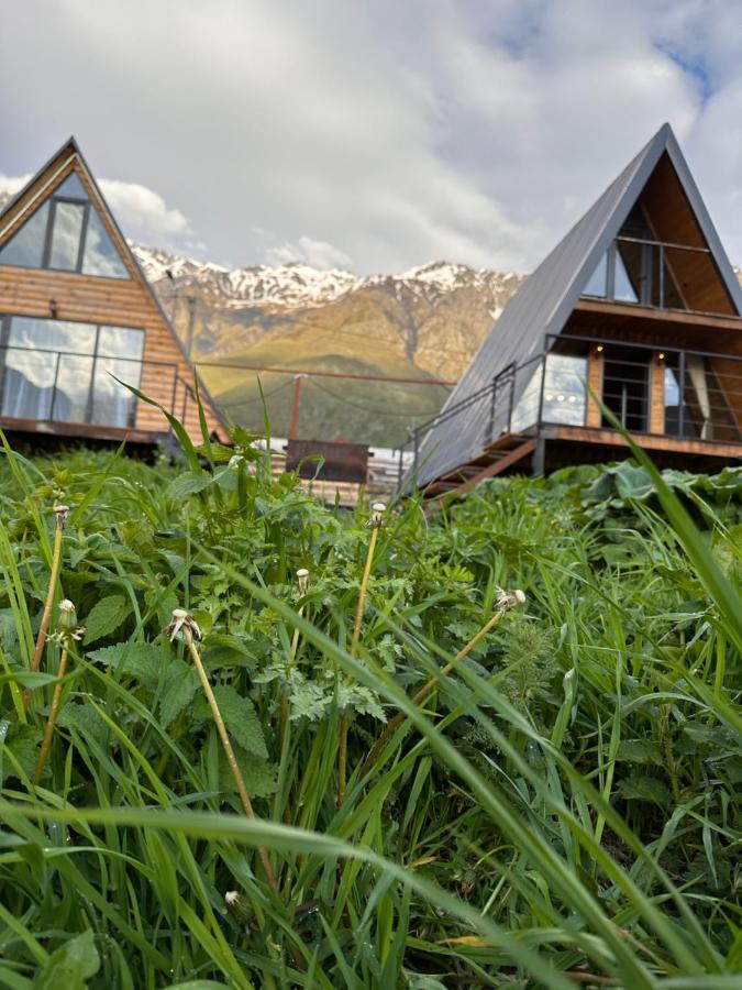 Alagi Cottage Kazbegi Exterior photo